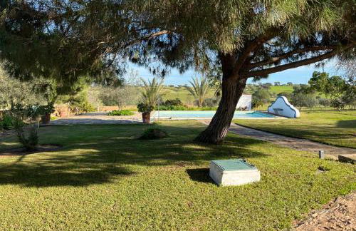 Vale de Camelos Country House, Alentejo, Portugal. - Foto 31