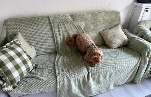 Swallow Cottage Middleham - Photo 9