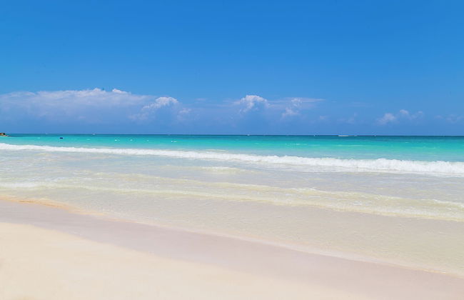 Silver Palms Charming 1BR Private Beach and Pool - Photo 11