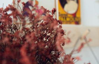 L'abri de Saint-Germain, between lake and mountains - Foto 23