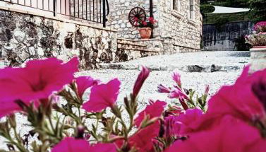 Appartamento Vacanze Il Daino - Foto 2