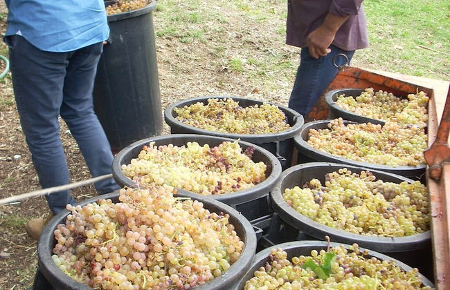 Le Roghete - Foto 33