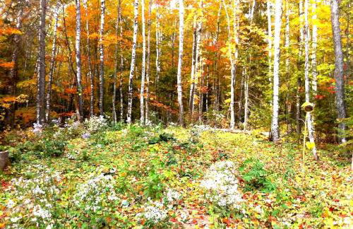Secluded Waterfront Cabin Rental on Lake Superior near Red Cliff, Wisconsin - Foto 65