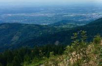 Blackforest Apartment - Foto 29