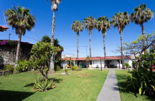 Finca La Gaviota - Las Palmeras - Foto 47