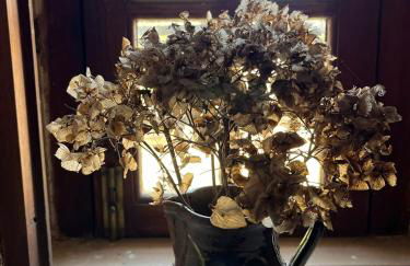 Casa da Quinta do Outeiro - Foto 54