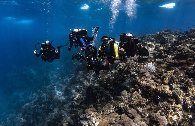 BADLADZ Staycation Condos - Foto 66