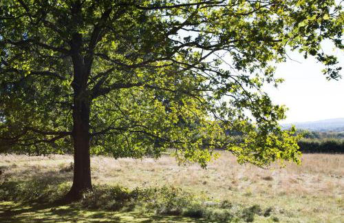 Ravenclaw Hall - Foto 52