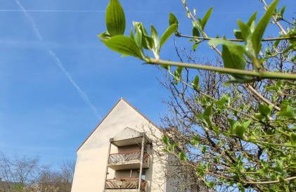 L' Écrin de Jade - Foto 9