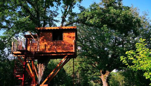 Casa sull'albero Bocchineri - Foto 4