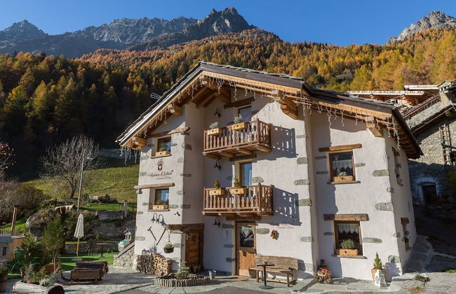 La Maison d'Antan - Foto 35