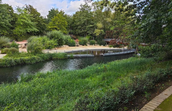 Reihenhaus in Lubben an der Spree - Foto 14