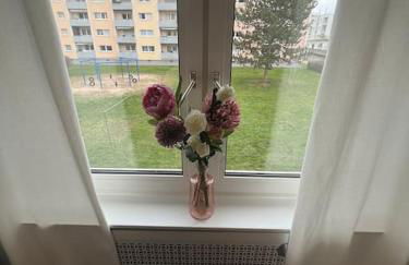 Familienwohnung neben dem See,Messe und Europapark - Foto 11