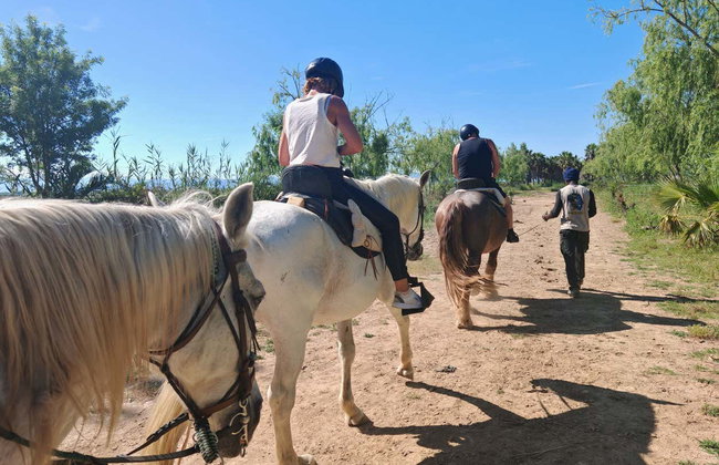 Passeggiata a cavallo al Delta dell'Ebro - Foto 5
