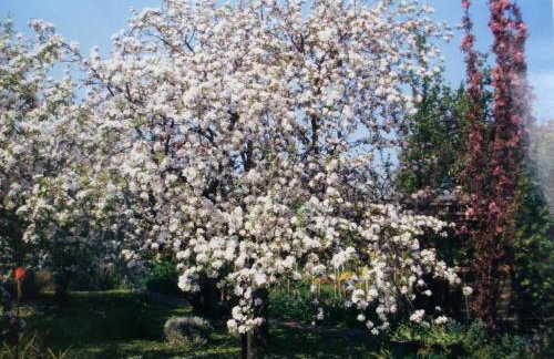 Beautiful 'Rose-Dene' with ample parking - Foto 20