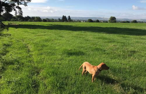 Rew Farm Country & Equestrian Accommodation - Sunrise Lodge - Foto 40