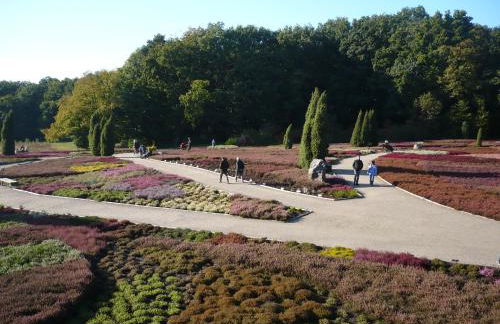 Hoernchens-Ferienwohnung - Foto 14