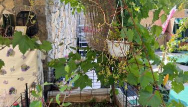 Apartmani Žak - Foto 2