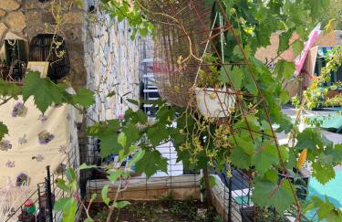 Apartmani Žak - Foto 2