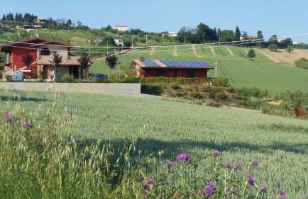 Country House Ciliegia Rossa - Photo 59