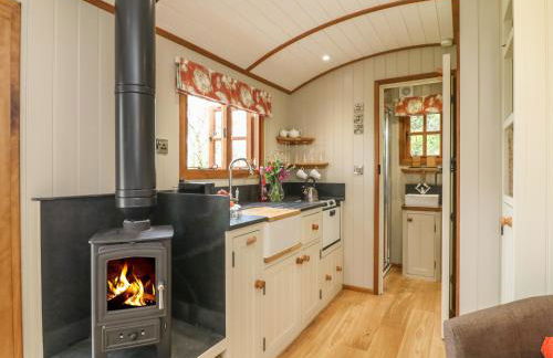 Little Silver Owl - Foto 7