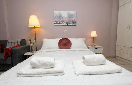 Κεντρικό κομψό ήσυχο στούντιο. - Foto 20