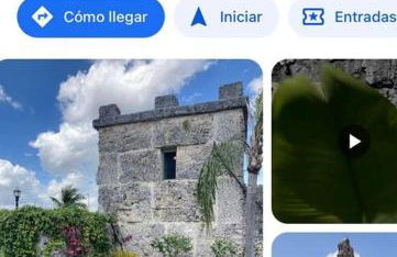 Bienvenidos a la Pequeña Selva de Legnalife - Foto 43