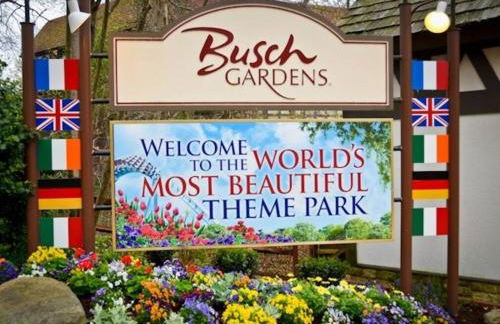 Green house - Foto 32