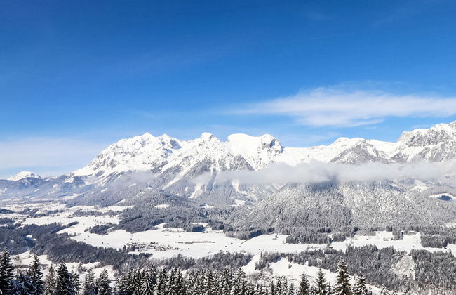 Bergerlodge - Foto 24