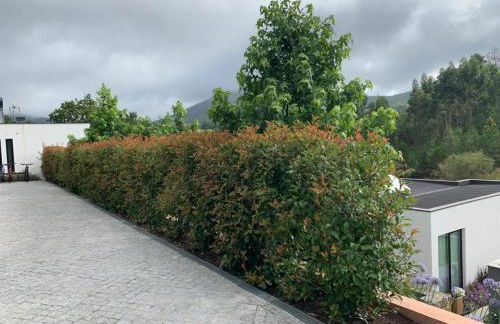 Turismo Natureza Villa Rio - Foto 37