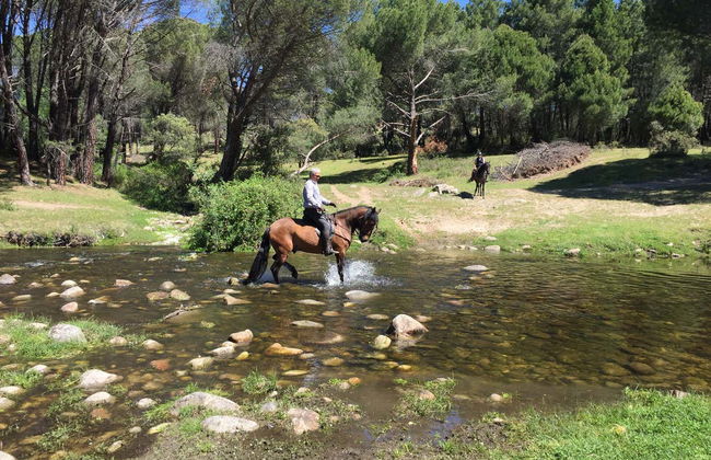 Paseo a caballo por el valle del Tiétar - Foto 6