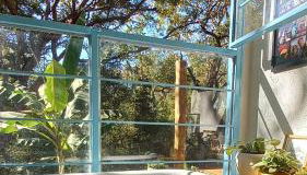 Sitio Cocoroca - casa com banheira, vista para a mata e acesso ao rio - Foto 2