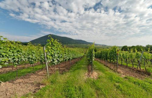 Altes Pfarrhaus - das Kelterhaus - Foto 32