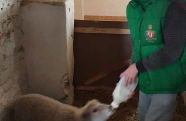 Gnaden- und Ferienhof Saale Wittgenstein in the middle of gar nix - Foto 44