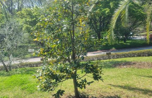 Sittingbourne Lodge, free car park - 4 Cars - Photo 38