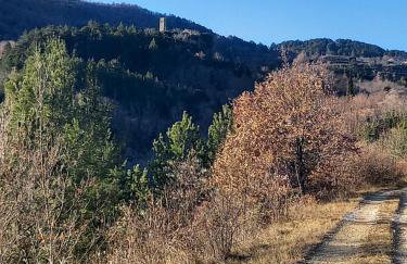 App Parenzana - Foto 19