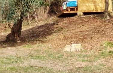 Agriturismo La Collina delle Api - Foto 38