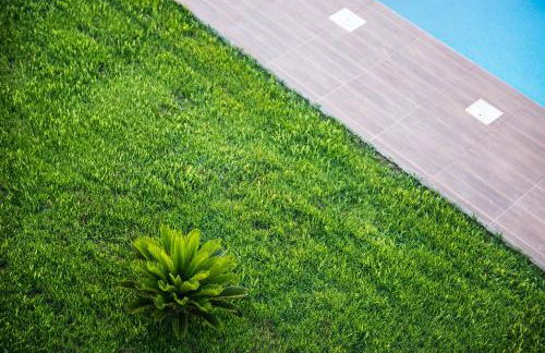 Niovi Seaside Suites - Foto 7