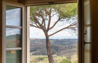 Cozy Apartment near Sangimignano,Volterra,Pisa - Foto 18