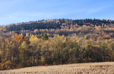 Sielanka, wyjątkowy dom, jacuzzi - Foto 56