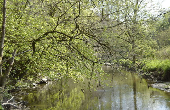 Pet-friendly Escape in Fauvillers - Foto 44