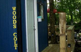 Cozy Tiny House in Tennessee Forest with Loft Beds & Country Breakfast - Foto 5