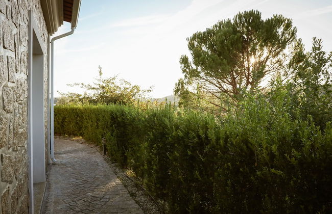 I Love Dão - Casas Da Fraga - Photo 37