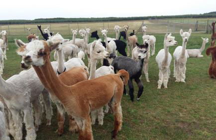 FeWo mit Balkon, Zimmermann - Foto 37