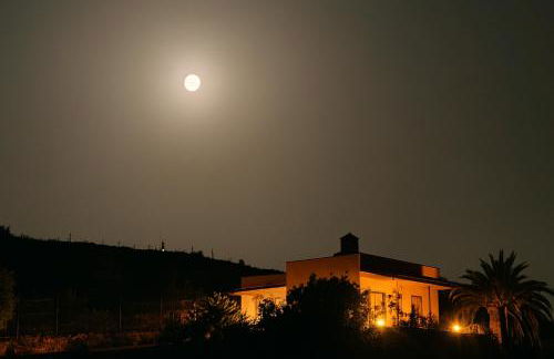 The Lemon Factory - Foto 37