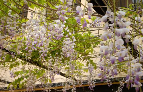 Casa Lucía - Foto 48