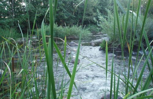 Casa Erbaggio - Foto 36