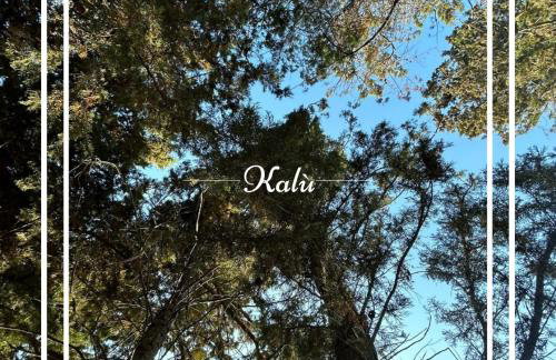 Kalù - Photo 5