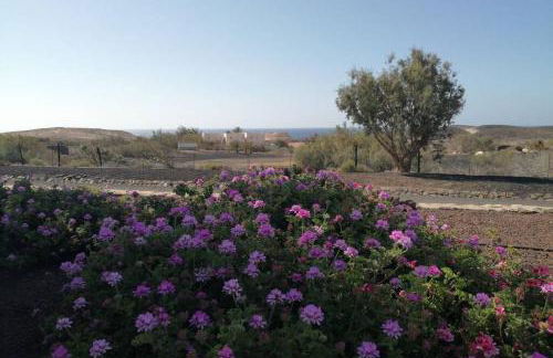 Old King's beach house - Photo 41