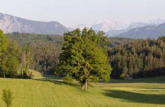 Idyllische Ferienunterkunft in Aidling am Riegsee - Foto 48